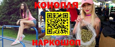 индика Славгород