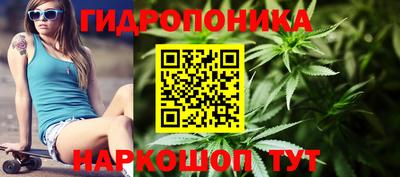 индика Славгород