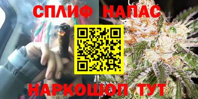 индика Славгород