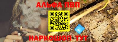 индика Славгород