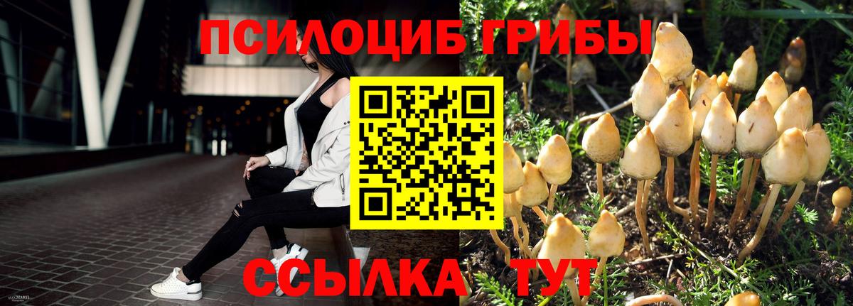 Галлюциногенные грибы MAGIC MUSHROOMS Омск