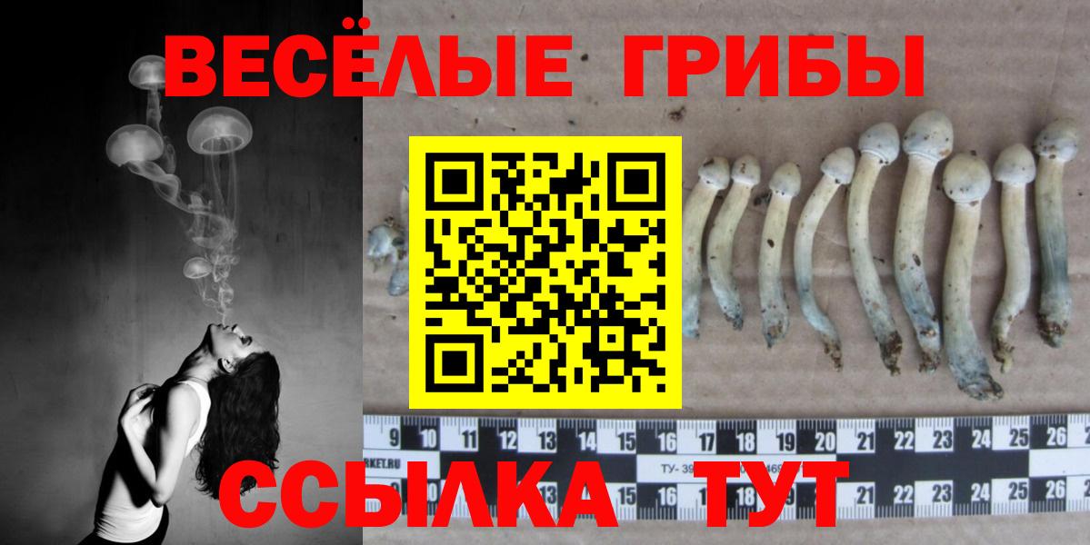 Псилоцибиновые грибы Magic Shrooms  Вход с VPN  Омск  Псилоцибиновые грибы Cubensis 